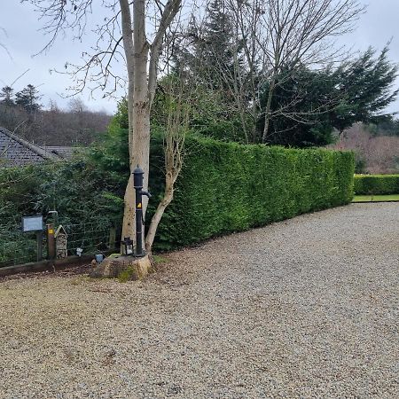 Cracatinni Mews Roundwood Luaran gambar