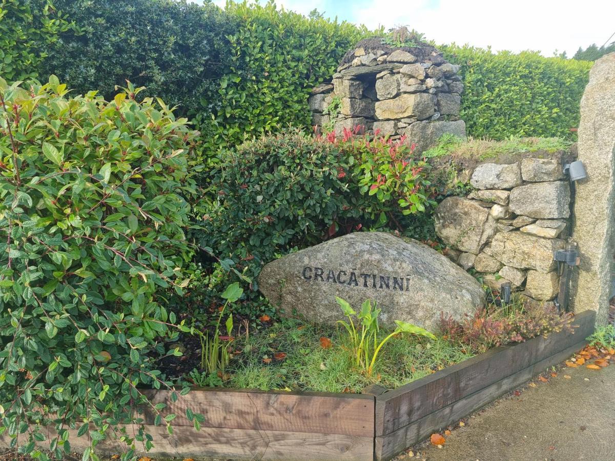 Cracatinni Mews Roundwood Luaran gambar